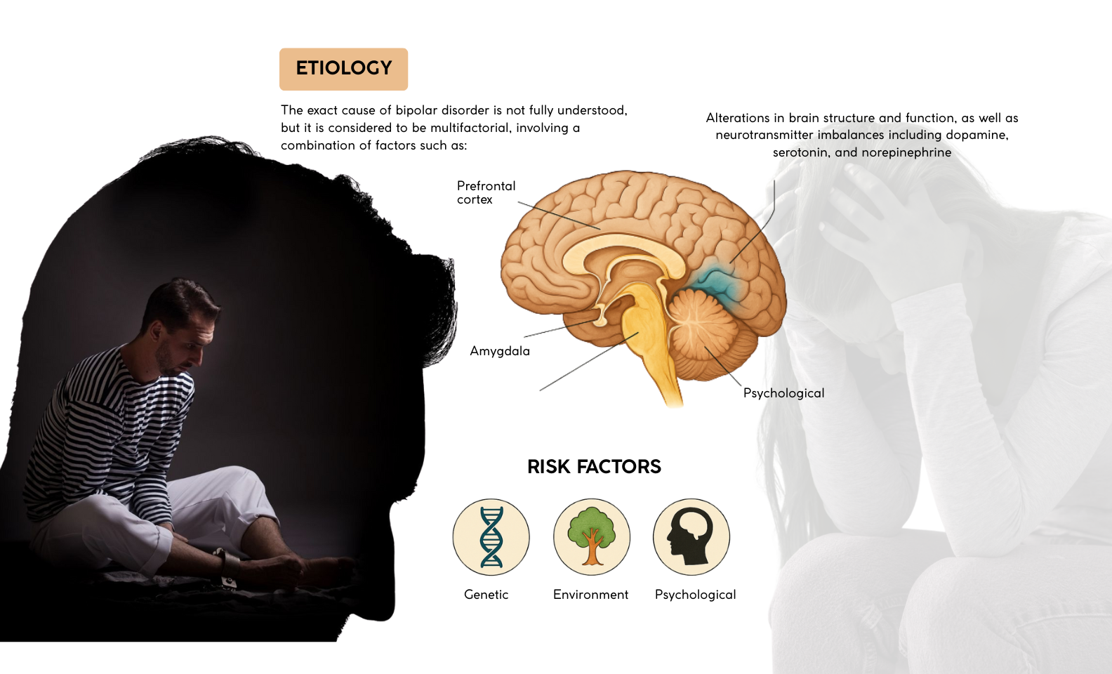 Understanding Bipolar Disorder: A Real Look at Highs, Lows & Hope